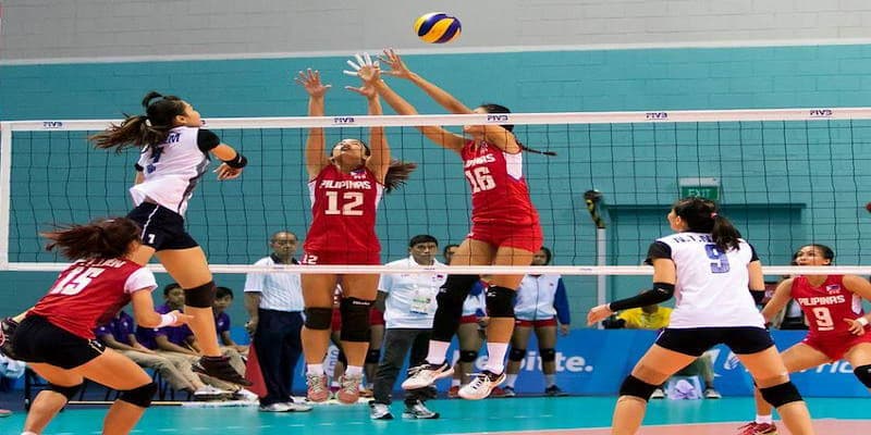 Bí quyết nâng cao tỷ lệ thắng khi cá cược bóng chuyền