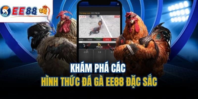 Chiến thuật chơi hiệu quả tại đá gà EE88